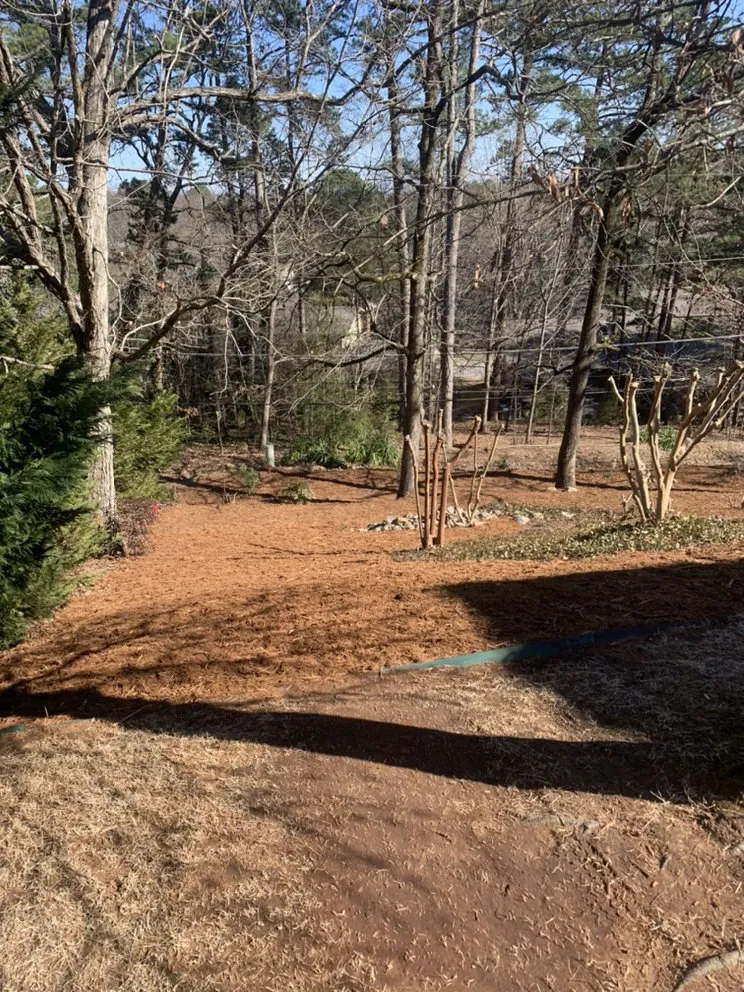 Affordable garden landscaping in Conway, AR by Diamond Lawn