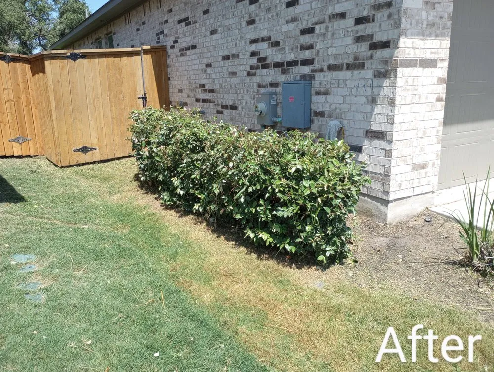 Local outdoor landscaping for outdoor upgrades in Luling, TX by Diamond Lawn Maintenance