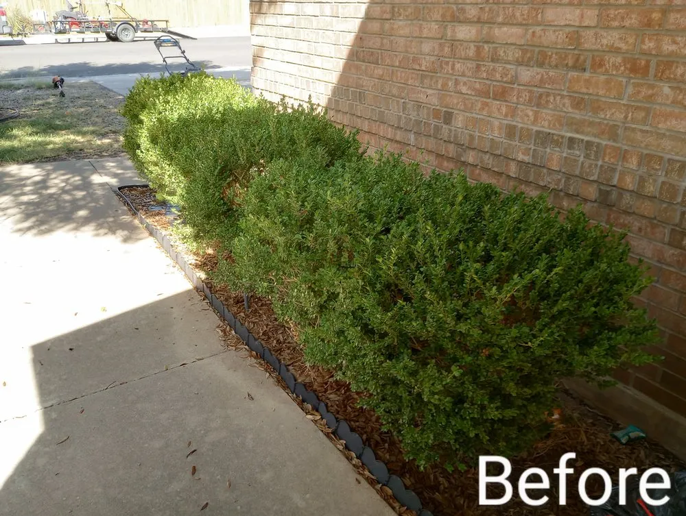 Professional yard cleanup service experts serving Luling, TX - Diamond Lawn Maintenance