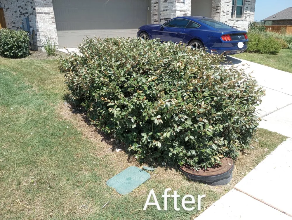 Local lawn care service in Luling, TX - Diamond Lawn Maintenance