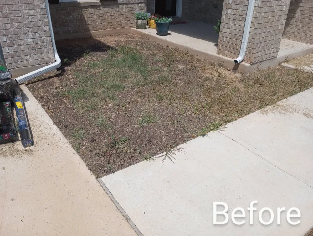 Top-rated yard maintenance with custom design across Luling, TX - Diamond Lawn Maintenance