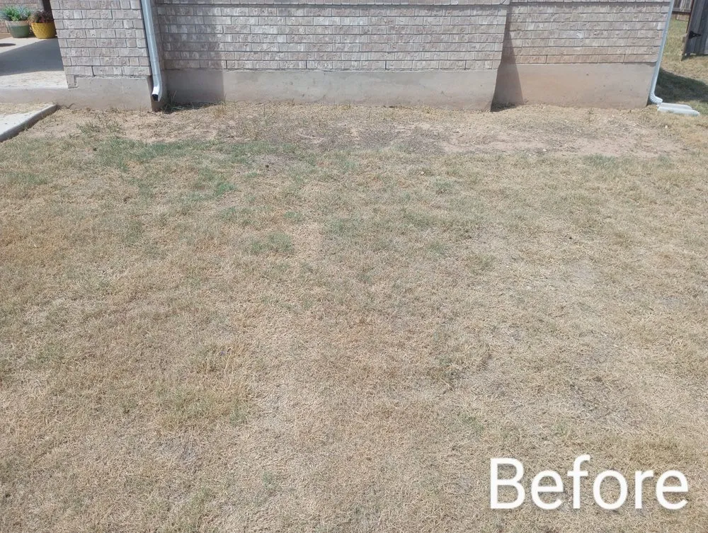Affordable yard cleanup service in Luling, TX by Diamond Lawn Maintenance
