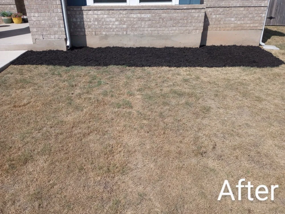 Local lawn care service experts serving Luling, TX - Diamond Lawn Maintenance