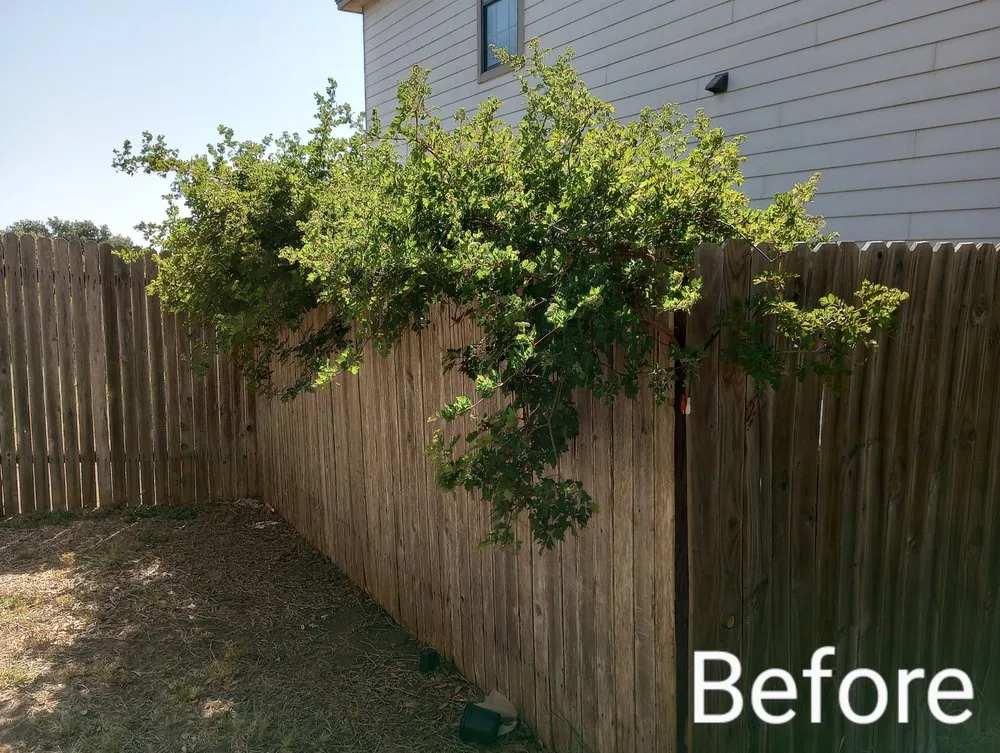 Local landscape installation experts serving Luling, TX - Diamond Lawn Maintenance