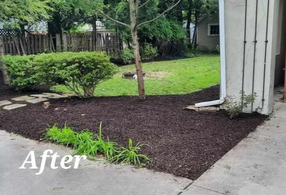 Top-rated lawn care service in Windber, PA by Diamond lawn service