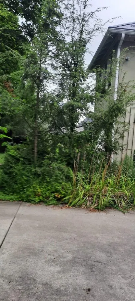 Professional landscaping services in Windber, PA by Diamond lawn service