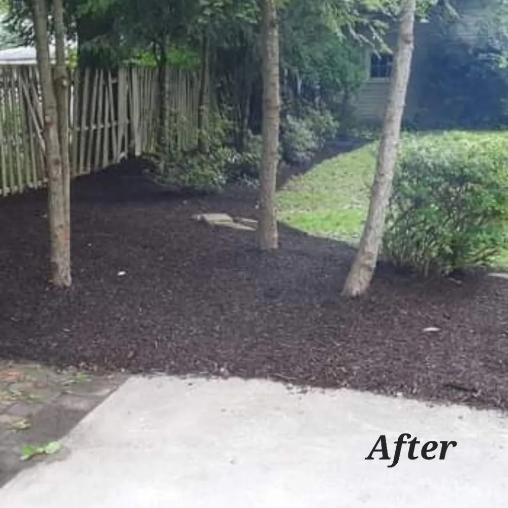 Expert landscape design in Windber, PA - Diamond lawn service