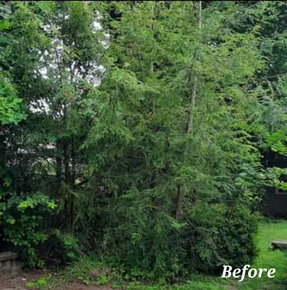 Professional garden landscaping experts serving Windber, PA - Diamond lawn service