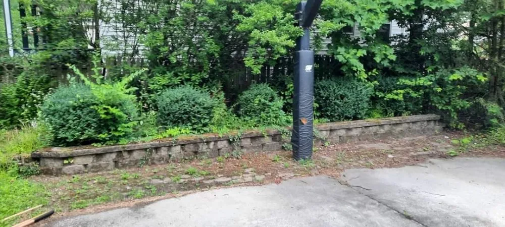 Custom yard cleanup service for year-round maintenance across Windber, PA - Diamond lawn service