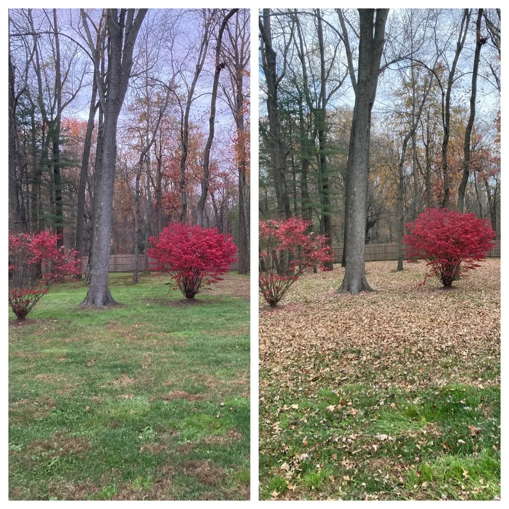 Top-rated residential landscaping experts serving Mount Laurel, NJ - Diamond Lawncare