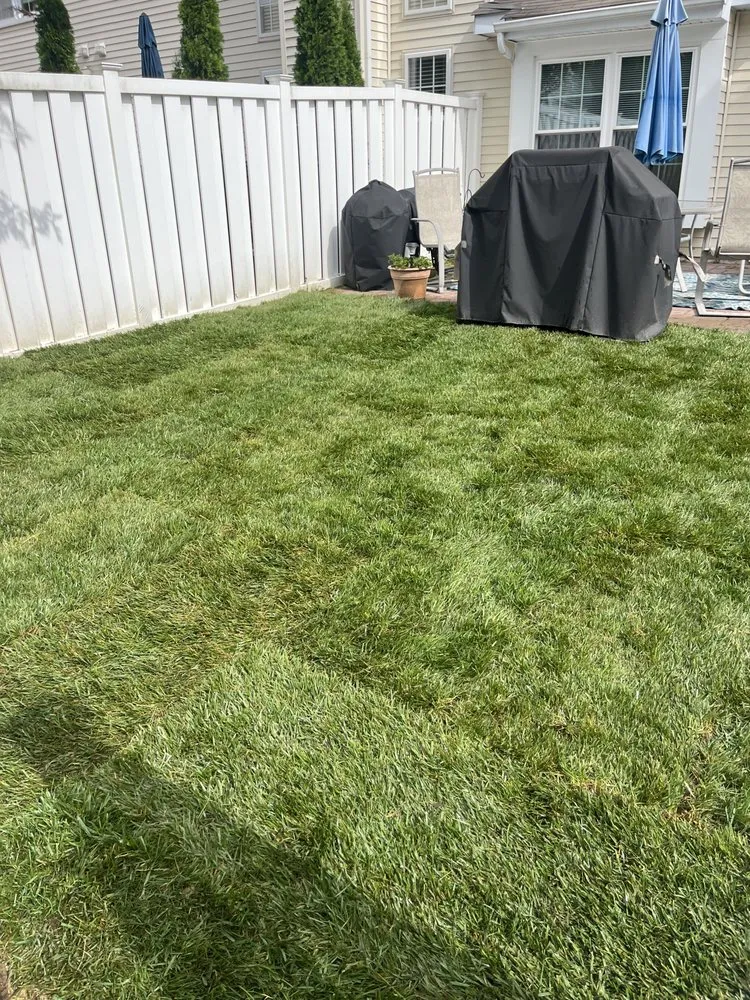 Reliable lawn care service in Mount Laurel, NJ by Diamond Lawncare