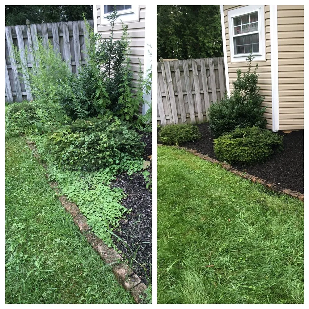 Affordable residential landscaping in Mount Laurel, NJ by Diamond Lawncare
