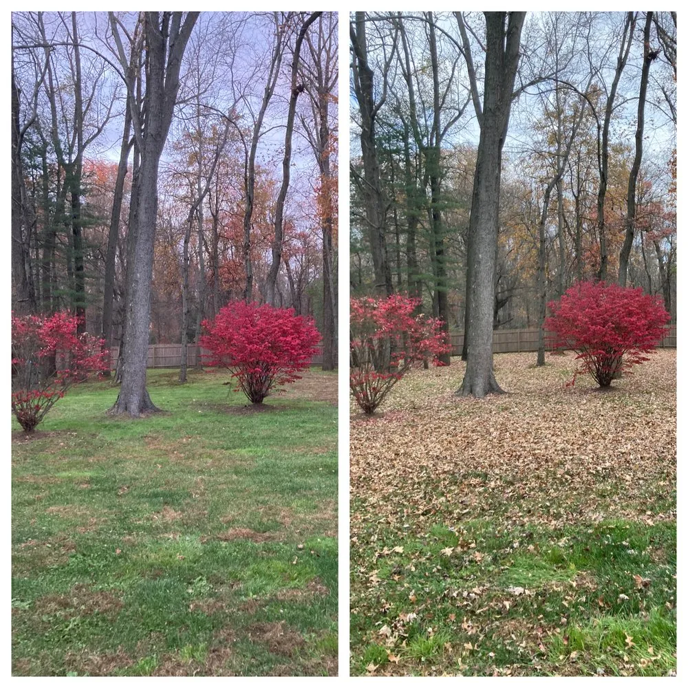 Expert residential landscaping experts serving Mount Laurel, NJ - Diamond Lawncare