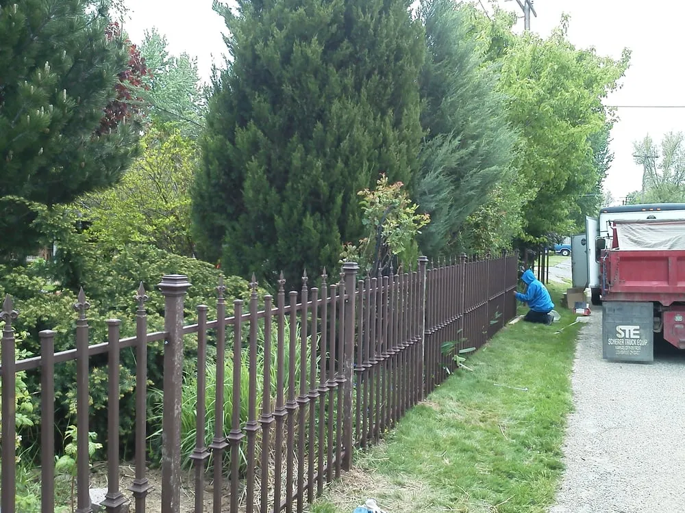 Professional yard cleanup service in Meridian, ID - Diamond Lawns