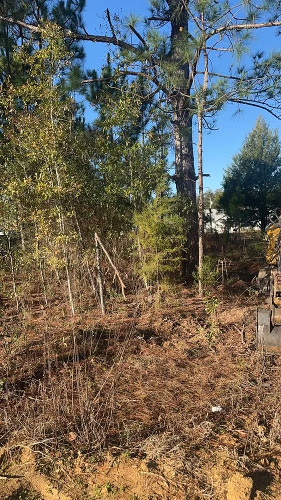 Local landscape design with custom design across Hartwell, GA - Diamond M Grading & Construction