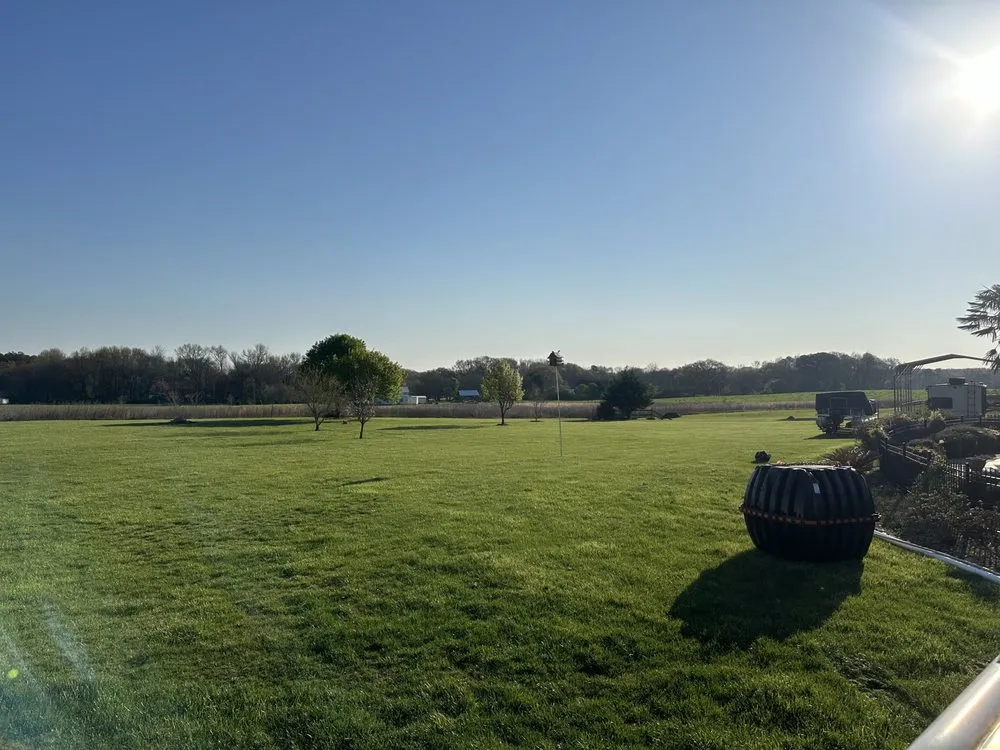 Expert landscape installation for outdoor upgrades in Hartwell, GA by Diamond M Grading & Construction