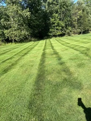Diamond Mow Masters