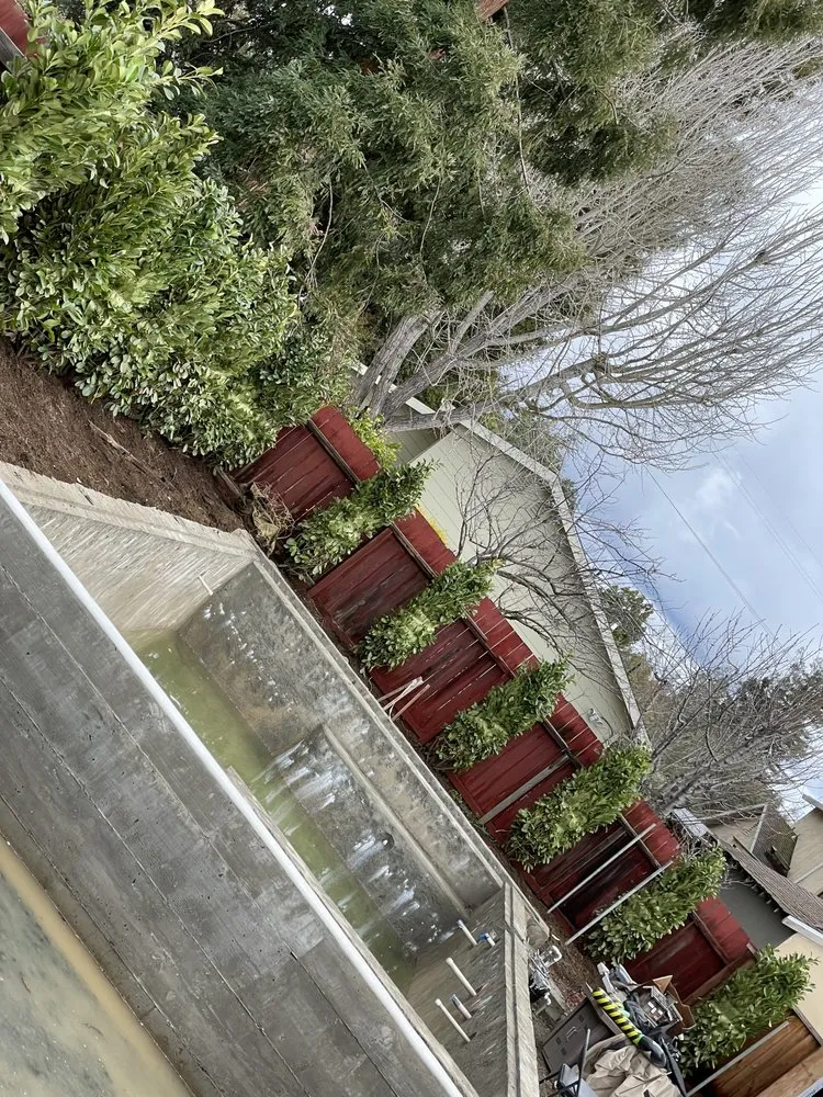 Reliable landscape design experts serving Los Altos, CA - Diamond Oak Landscaping