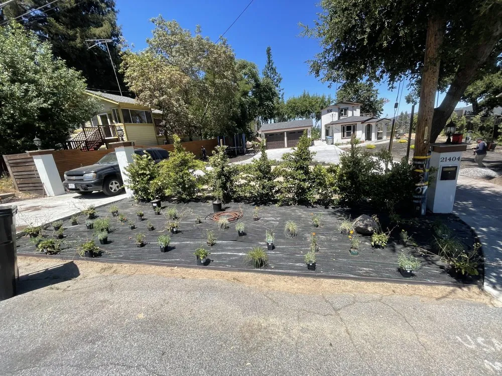 Professional landscape design in Los Altos, CA by Diamond Oak Landscaping