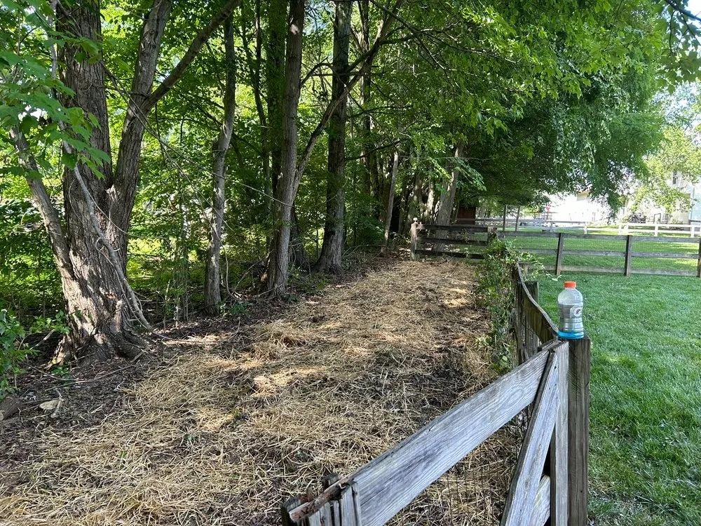 Top-rated landscape design in Batavia, OH by Diamond Outdoor Management