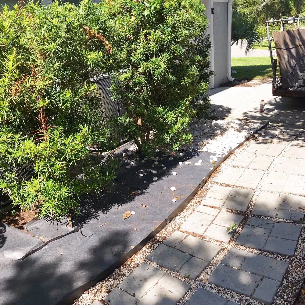 Affordable landscape design in Myrtle Beach, SC by Diamond Palm