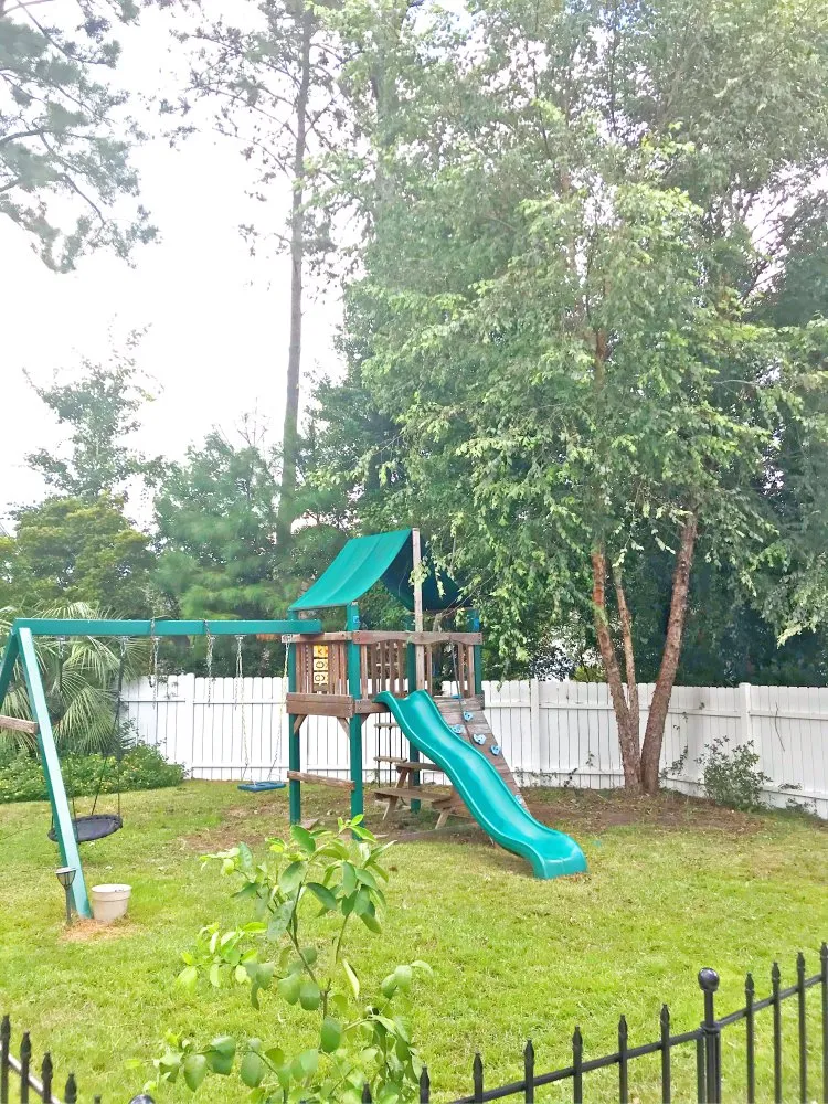 Expert residential landscaping experts serving Myrtle Beach, SC - Diamond Palm