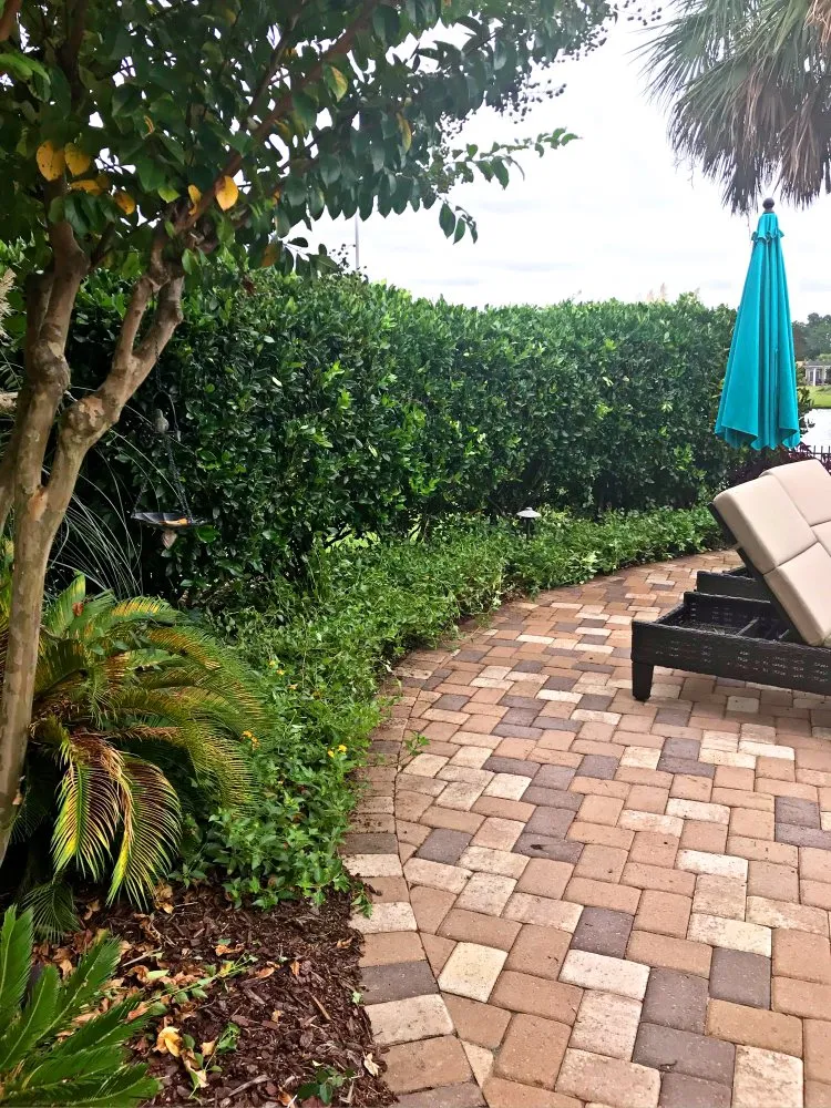 Top-rated garden landscaping in Myrtle Beach, SC by Diamond Palm