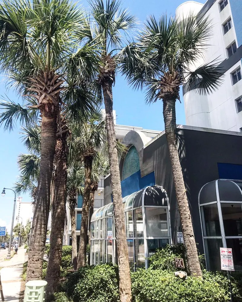 Top-rated outdoor landscaping for homes in Myrtle Beach, SC by Diamond Palm