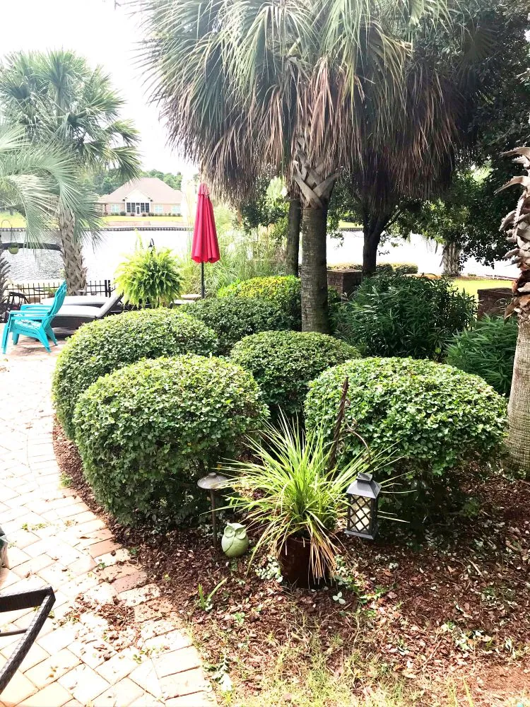 Custom landscape design in Myrtle Beach, SC by Diamond Palm