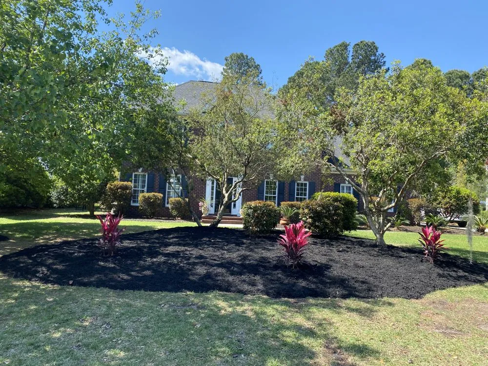 Professional outdoor landscaping for beautiful yards in Myrtle Beach, SC by Diamond Palm