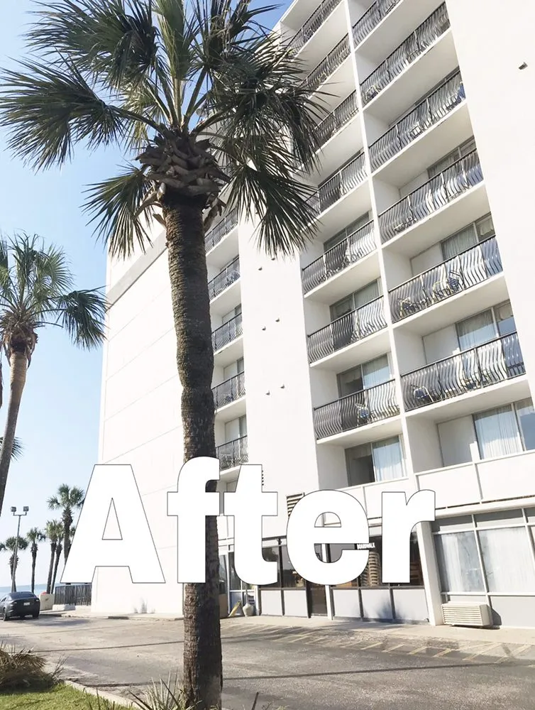 Expert landscape design in Myrtle Beach, SC by Diamond Palm