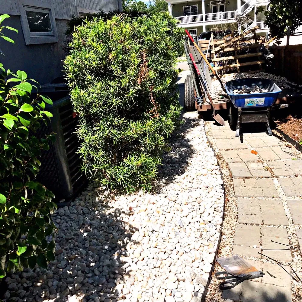 Professional lawn care service in Myrtle Beach, SC by Diamond Palm