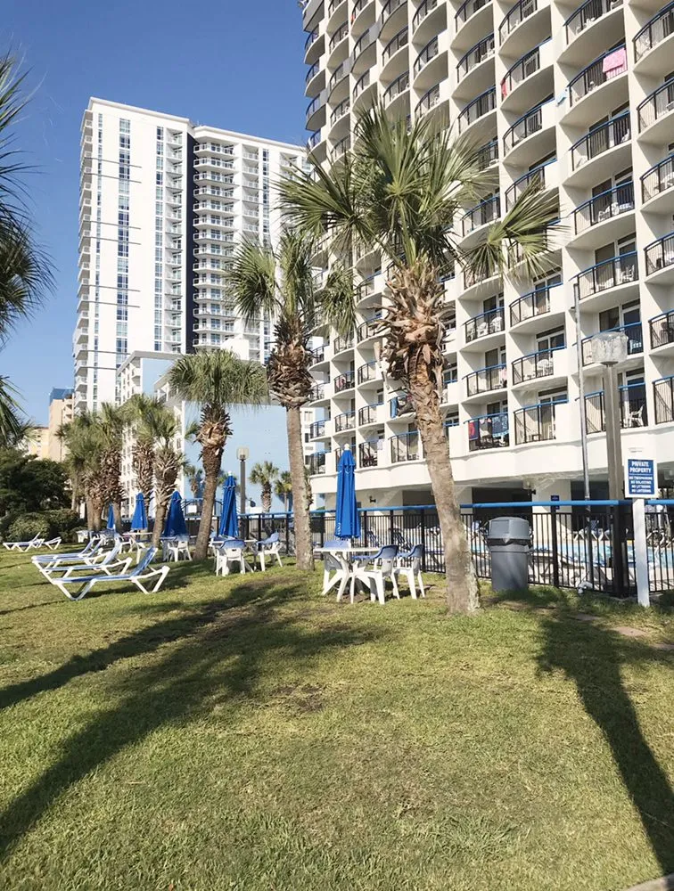 Trusted landscape design for year-round maintenance in Myrtle Beach, SC by Diamond Palm