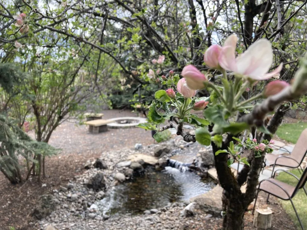 Trusted yard cleanup service in Bend, OR - Diamond Peak Landscape & Irrigation