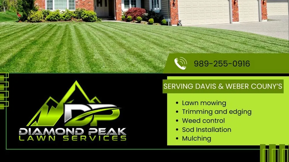 Professional yard maintenance experts serving Syracuse, UT - Diamond Peak Lawn Services