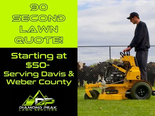 Diamond Peak Lawn Services Logo