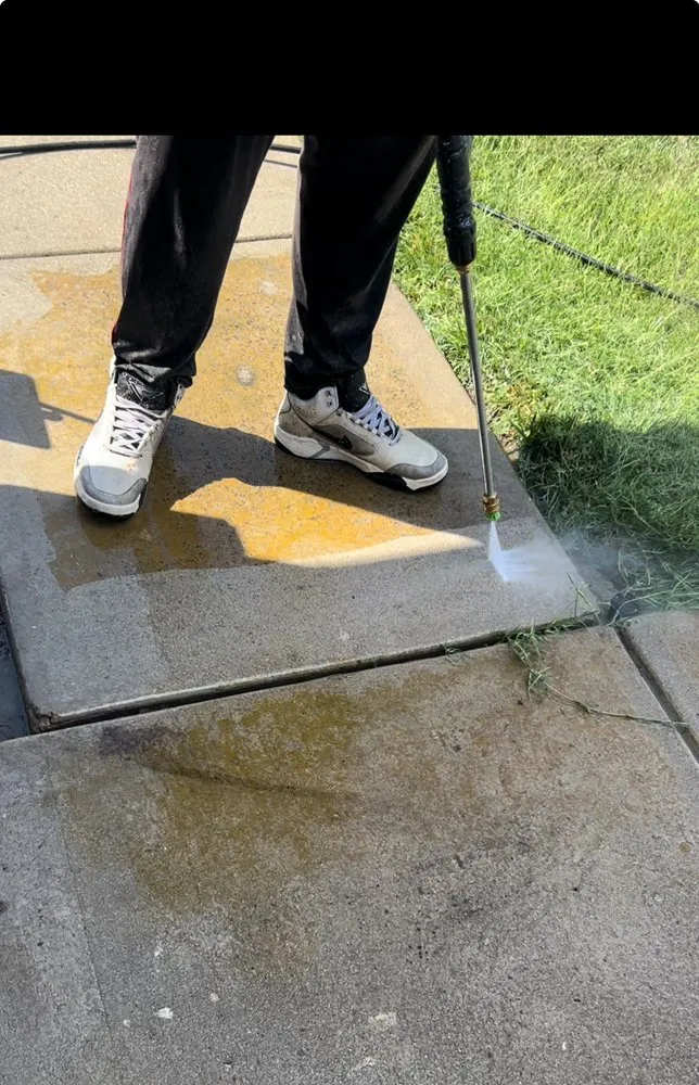 Affordable yard cleanup service for year-round maintenance in French Camp, CA by Diamond Pro Cleaning Services