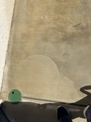 Diamond Pro Cleaning Services