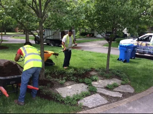 Local yard cleanup service experts serving Houston, TX - Diamond Property Consulting