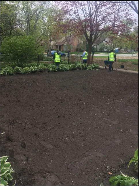 Reliable lawn care service near you in Houston, TX by Diamond Property Consulting