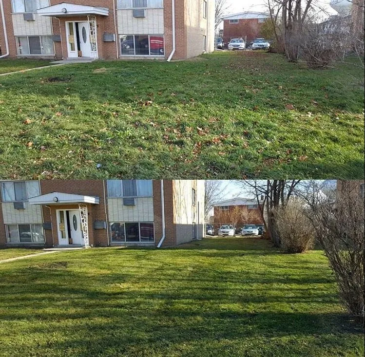 Custom outdoor landscaping for outdoor upgrades across Houston, TX - Diamond Property Consulting