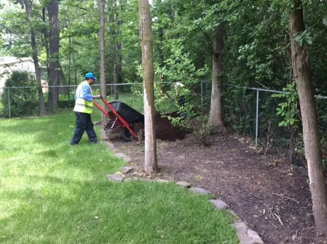 Expert residential landscaping in Houston, TX - Diamond Property Consulting