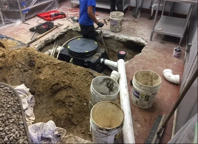 Custom yard cleanup service experts serving Houston, TX - Diamond Property Consulting