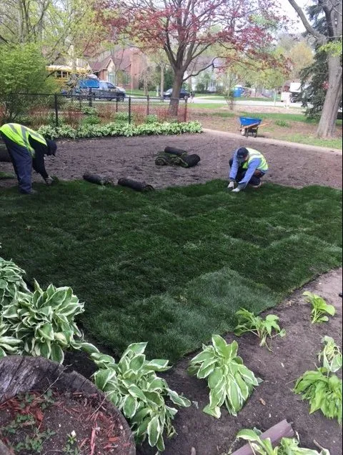 Top-rated lawn care service in Houston, TX - Diamond Property Consulting