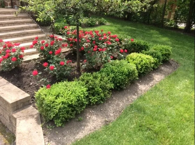 Trusted landscape design in Houston, TX by Diamond Property Consulting