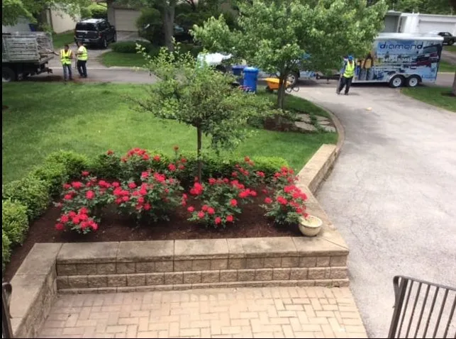 Trusted lawn care service experts serving Houston, TX - Diamond Property Consulting