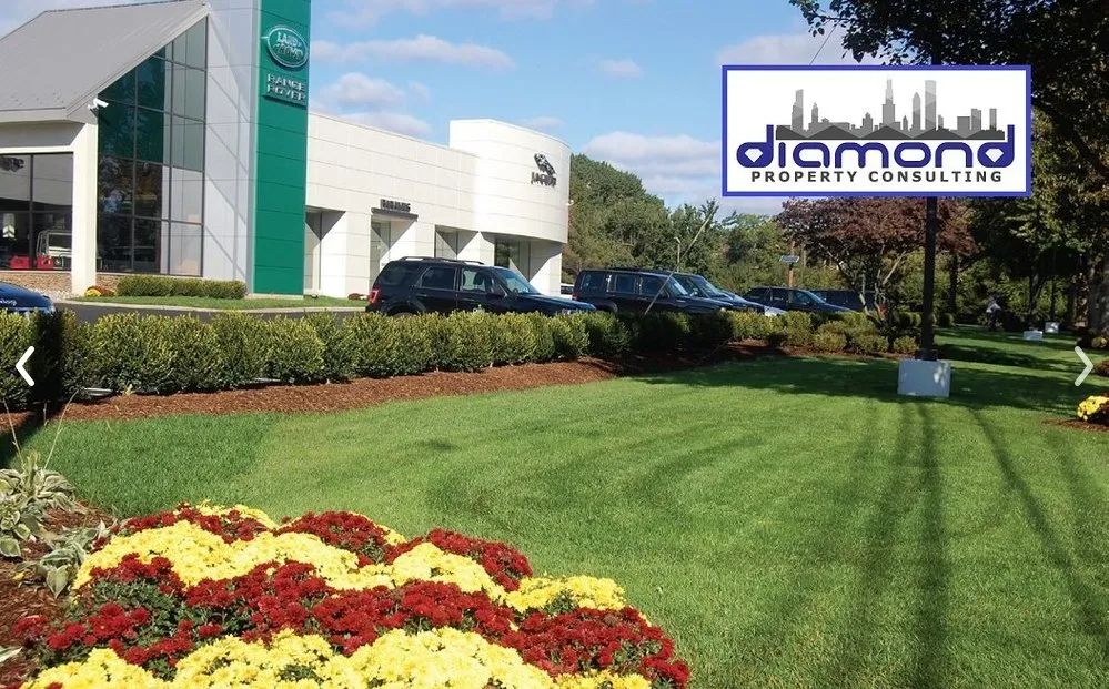 Top-rated lawn care service in Houston, TX by Diamond Property Consulting