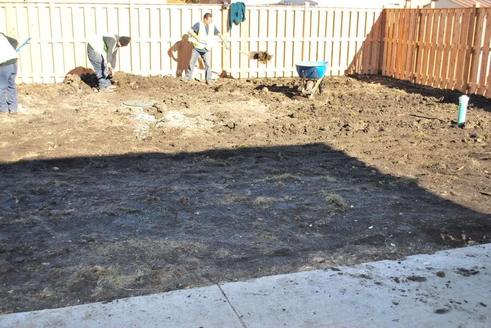 Reliable outdoor landscaping for year-round maintenance across Skokie, IL - Diamond Property Consulting