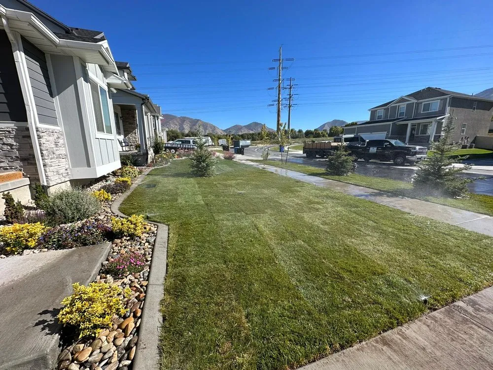 Affordable yard cleanup service in American Fork, UT by Diamond Property Services