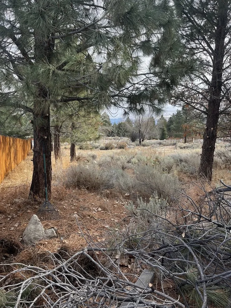 Affordable outdoor landscaping in Gardnerville, NV - Diamond Q Enterprises